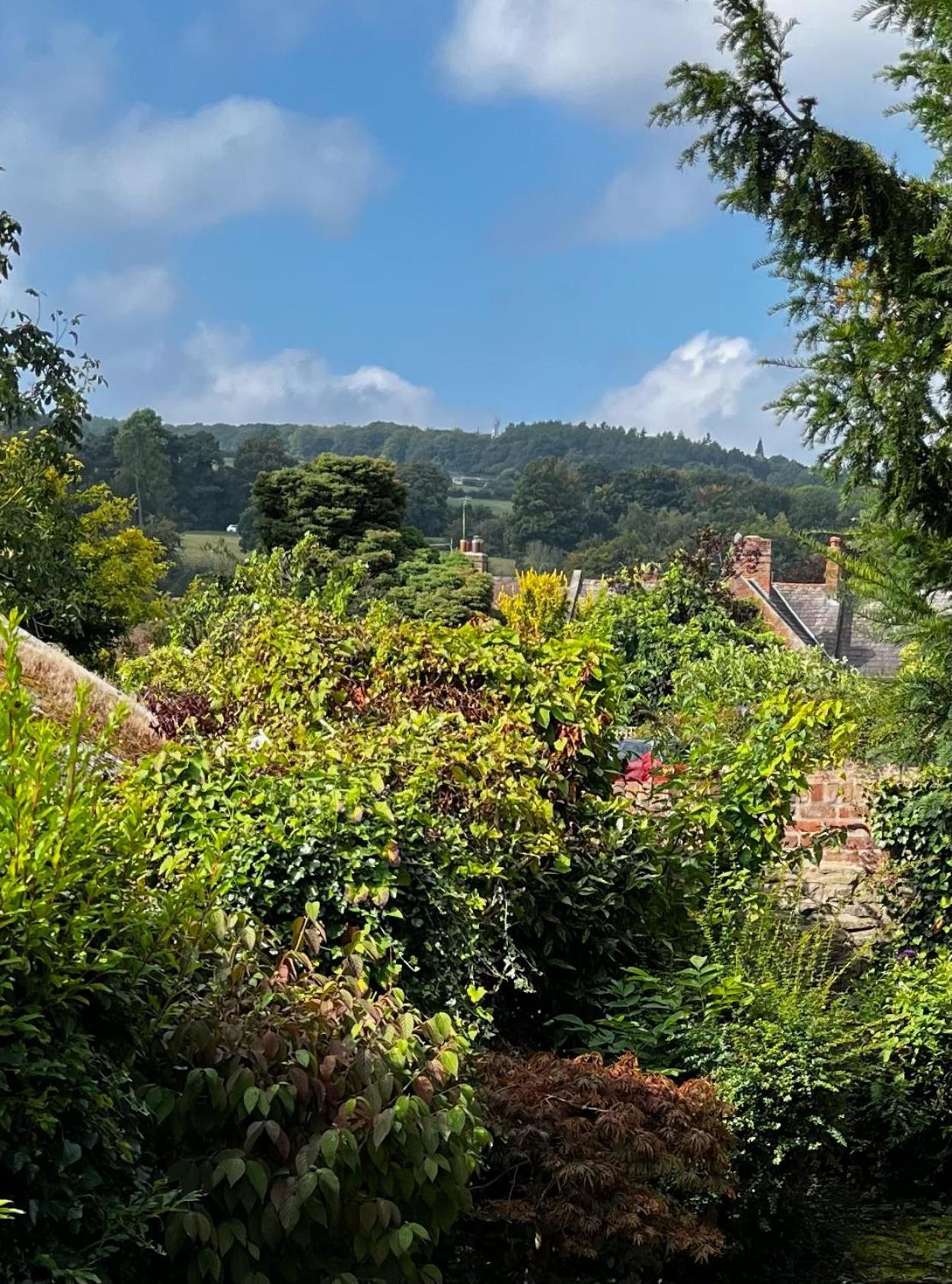Flower Cottage By Ludlow Castle With Onsite Parking Zewnętrze zdjęcie